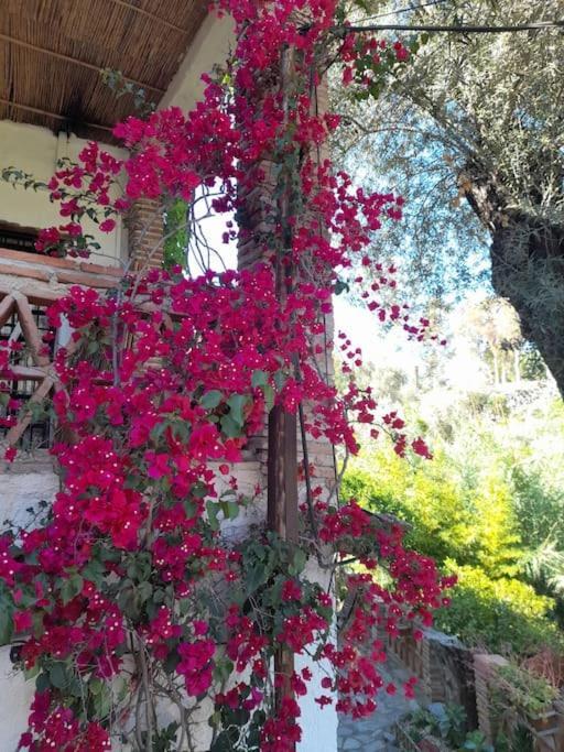 Vakantiehuis Cortijo La Acequia *